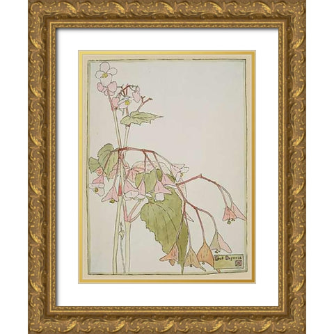 Beef Begonia Gold Ornate Wood Framed Art Print with Double Matting by Overbeck, Hannah Borger