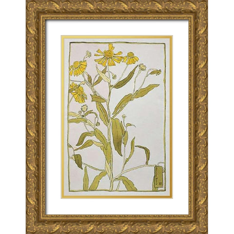 Sneeze Weed Gold Ornate Wood Framed Art Print with Double Matting by Overbeck, Hannah Borger