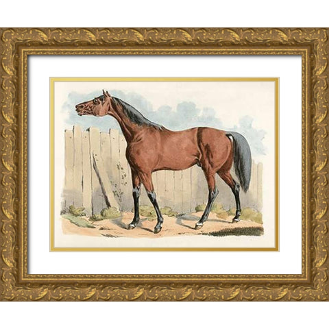 Dark-Brown Horse, 1817 Gold Ornate Wood Framed Art Print with Double Matting by Alken, Henry Thomas
