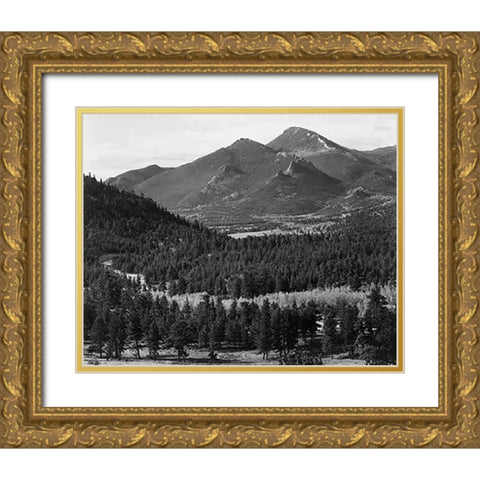 View with trees in foreground, barren mountains in background, in Rocky Mountain National Park, Colo Gold Ornate Wood Framed Art Print with Double Matting by Adams, Ansel