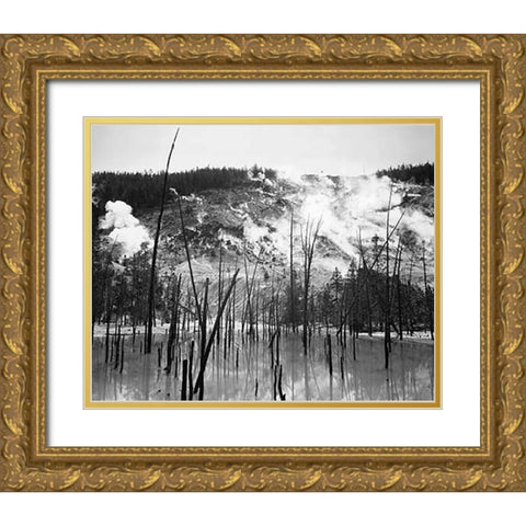 Barren trunks in water near steam rising from mountains, Roaring Mountain, Yellowstone National Park Gold Ornate Wood Framed Art Print with Double Matting by Adams, Ansel