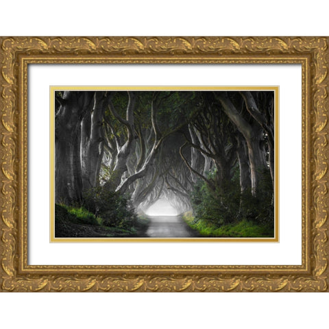 Dark Hedges Gold Ornate Wood Framed Art Print with Double Matting by Molteni, Nicola
