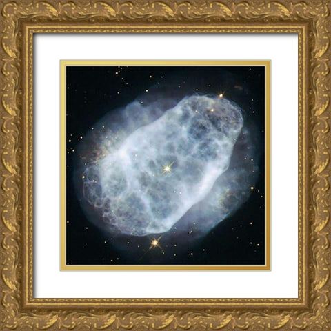 NGC 6153 - A Nitrogen-Rich Nebula Gold Ornate Wood Framed Art Print with Double Matting by Hubble Space Telescope