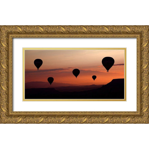 Karci, Engin Gold Ornate Wood Framed Art Print with Double Matting by balloons