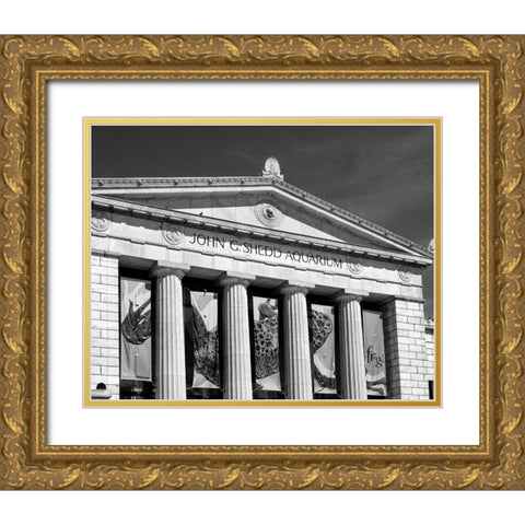 Shedd Aquarium Chicago Illinois Gold Ornate Wood Framed Art Print with Double Matting by Highsmith, Carol