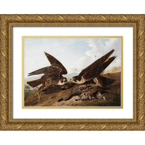 Peregrine Falcons Gold Ornate Wood Framed Art Print with Double Matting by Audubon, John James