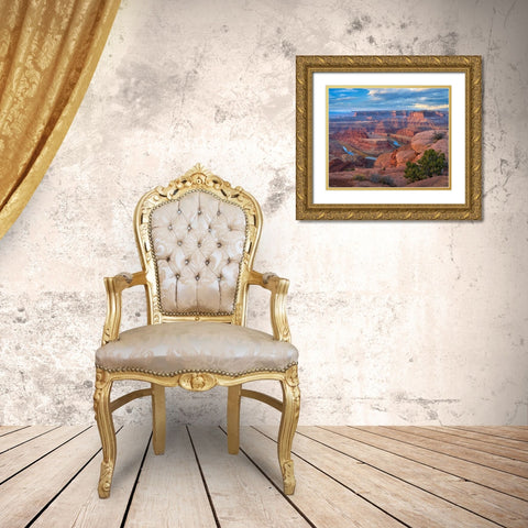 Colorado River from Deadhorse Point, Canyonlands National Park, Utah Gold Ornate Wood Framed Art Print with Double Matting by Fitzharris, Tim