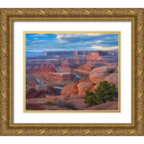 Colorado River from Deadhorse Point, Canyonlands National Park, Utah Gold Ornate Wood Framed Art Print with Double Matting by Fitzharris, Tim