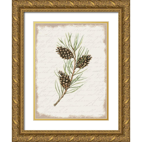 Pine Cone Botanical I Gold Ornate Wood Framed Art Print with Double Matting by Jacobs, Cindy