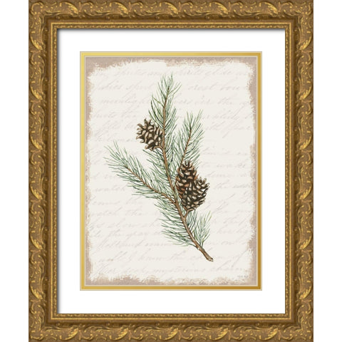 Pine Cone Botanical II Gold Ornate Wood Framed Art Print with Double Matting by Jacobs, Cindy
