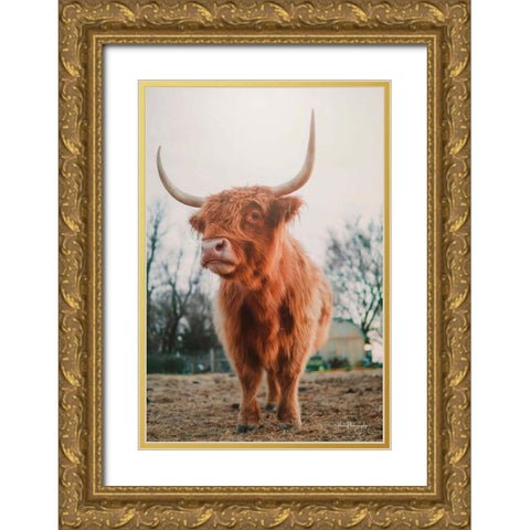 Hello There I Gold Ornate Wood Framed Art Print with Double Matting by Diener, Dakota