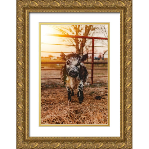 First Morning Gold Ornate Wood Framed Art Print with Double Matting by Diener, Dakota