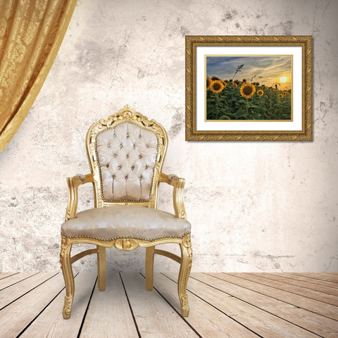 Midwest Livin I Gold Ornate Wood Framed Art Print with Double Matting by Quillen, Donnie