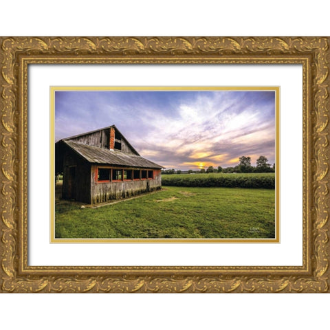 A Summer Sunset I Gold Ornate Wood Framed Art Print with Double Matting by Quillen, Donnie