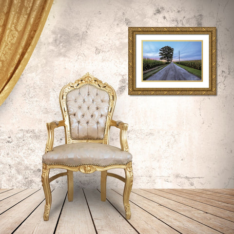 A Summer Sunset II Gold Ornate Wood Framed Art Print with Double Matting by Quillen, Donnie