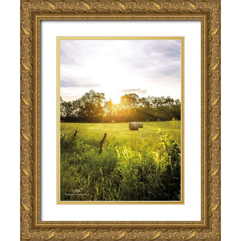 Daybreak in the Country I Gold Ornate Wood Framed Art Print with Double Matting by Quillen, Donnie