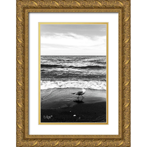 Seagull I    Gold Ornate Wood Framed Art Print with Double Matting by Quillen, Donnie
