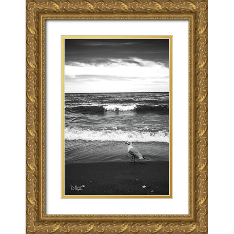 Seagull II    Gold Ornate Wood Framed Art Print with Double Matting by Quillen, Donnie