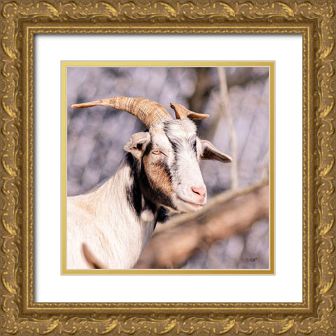 Brown Goat Gold Ornate Wood Framed Art Print with Double Matting by Quillen, Donnie