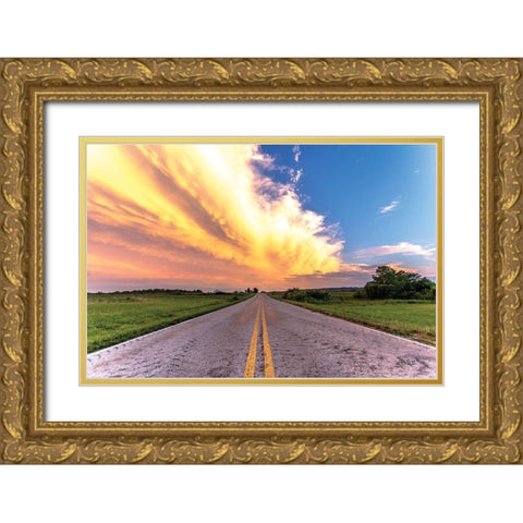 Road Less Traveled Gold Ornate Wood Framed Art Print with Double Matting by Quillen, Donnie