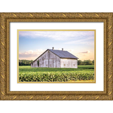 Rural Ohio Barn Gold Ornate Wood Framed Art Print with Double Matting by Quillen, Donnie