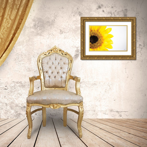 Sunflower Close-up Gold Ornate Wood Framed Art Print with Double Matting by Quillen, Donnie