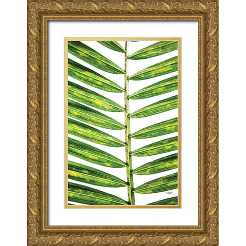 Leaf Study II Gold Ornate Wood Framed Art Print with Double Matting by Quillen, Donnie
