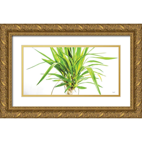 Leafy Days Gold Ornate Wood Framed Art Print with Double Matting by Quillen, Donnie