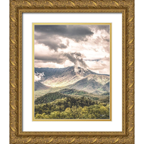 After the Storm Gold Ornate Wood Framed Art Print with Double Matting by Quillen, Donnie