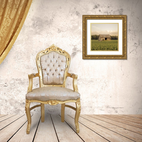 Rural Barn Gold Ornate Wood Framed Art Print with Double Matting by Quillen, Donnie