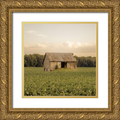 Rural Barn Gold Ornate Wood Framed Art Print with Double Matting by Quillen, Donnie