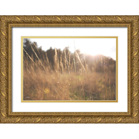 Bright Sun Haze II Gold Ornate Wood Framed Art Print with Double Matting by Quillen, Donnie