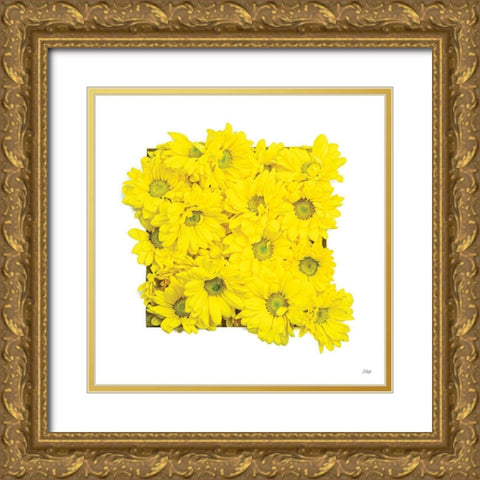 Floral Pop II Gold Ornate Wood Framed Art Print with Double Matting by Quillen, Donnie
