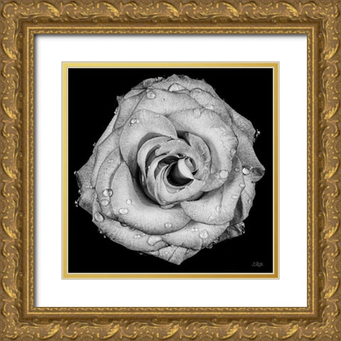 A Love Lost Gold Ornate Wood Framed Art Print with Double Matting by Quillen, Donnie