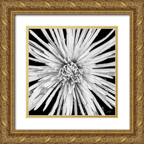 Black and White Love Gold Ornate Wood Framed Art Print with Double Matting by Quillen, Donnie