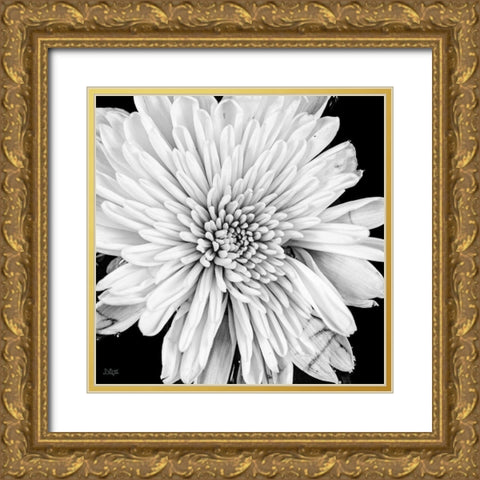 Black and White Love II Gold Ornate Wood Framed Art Print with Double Matting by Quillen, Donnie