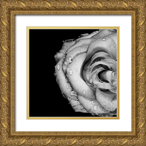 Lost Love Gold Ornate Wood Framed Art Print with Double Matting by Quillen, Donnie