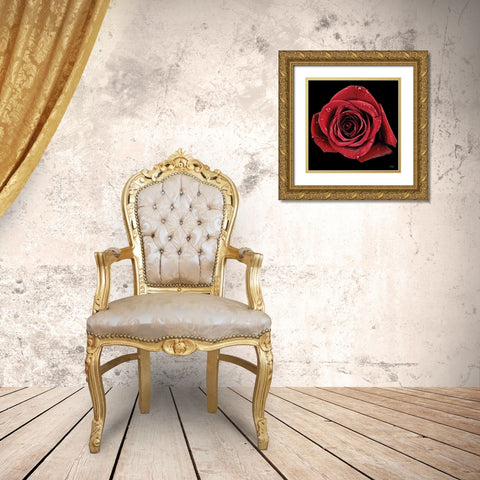 Broken Heart Rose Gold Ornate Wood Framed Art Print with Double Matting by Quillen, Donnie