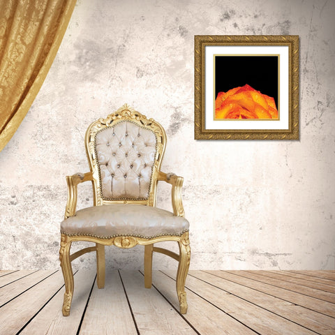 Orange Petals Gold Ornate Wood Framed Art Print with Double Matting by Quillen, Donnie