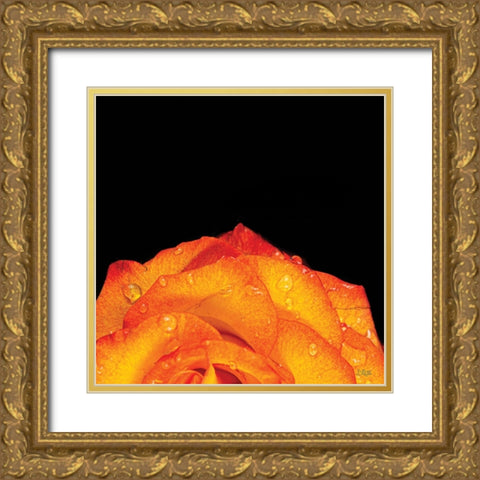 Orange Petals Gold Ornate Wood Framed Art Print with Double Matting by Quillen, Donnie