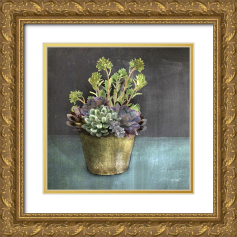 Succulents Gold Ornate Wood Framed Art Print with Double Matting by House Fenway
