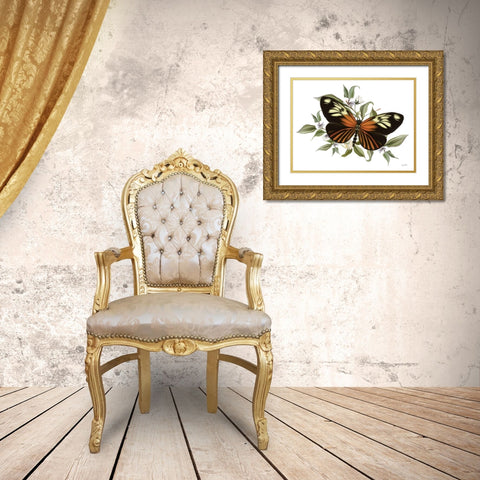 Botanical Butterfly Heliconius    Gold Ornate Wood Framed Art Print with Double Matting by House Fenway