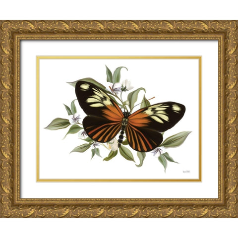 Botanical Butterfly Heliconius    Gold Ornate Wood Framed Art Print with Double Matting by House Fenway