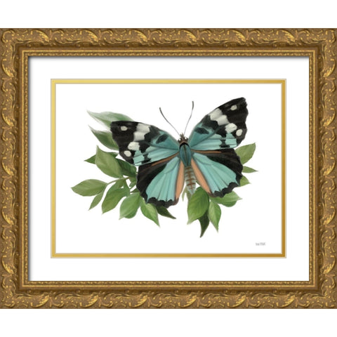 Botanical Butterfly Common Gem  Gold Ornate Wood Framed Art Print with Double Matting by House Fenway