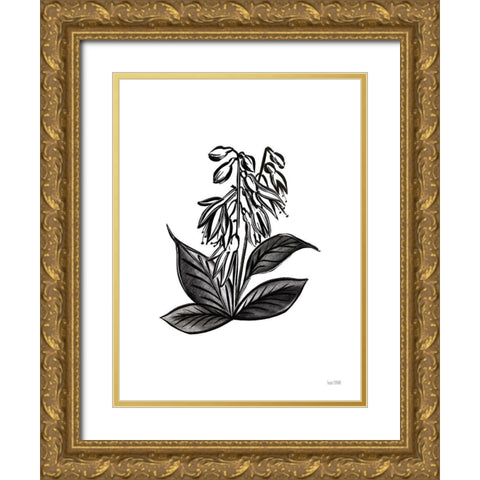 Pen and Ink Wildflower III Gold Ornate Wood Framed Art Print with Double Matting by House Fenway