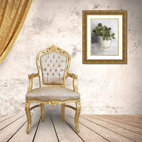 Ironstone Planter II Gold Ornate Wood Framed Art Print with Double Matting by House Fenway