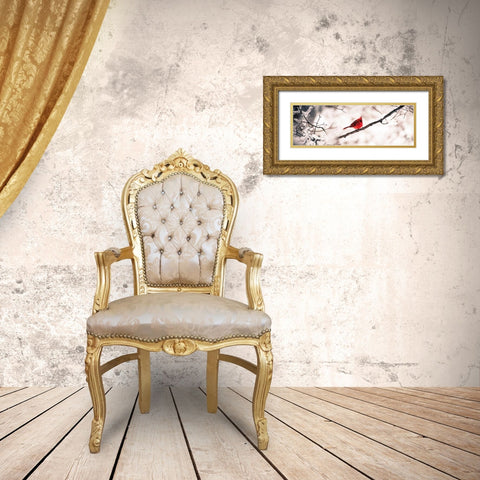 Cardinal III Gold Ornate Wood Framed Art Print with Double Matting by Spivey, Justin