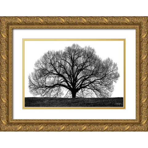 The Tree Gold Ornate Wood Framed Art Print with Double Matting by Jones, John