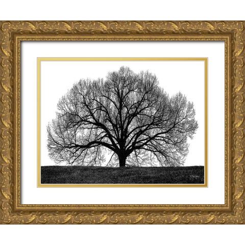 The Tree Gold Ornate Wood Framed Art Print with Double Matting by Jones, John