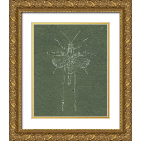 Now Climb Young Grasshopper Gold Ornate Wood Framed Art Print with Double Matting by Kamdon Kreations